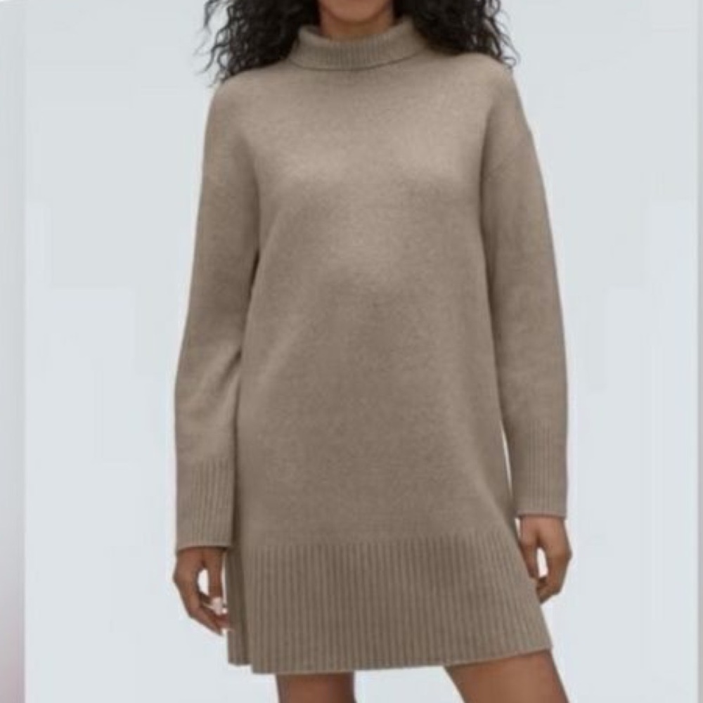 EVERLANE The Cozy Stretch Turtleneck Yak Hair Wool Turtleneck Sweater Dress
